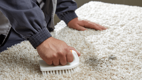 Professional Rug Cleaning Sebastopol